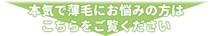 本気で薄毛にお悩みの方は こちらをご覧ください