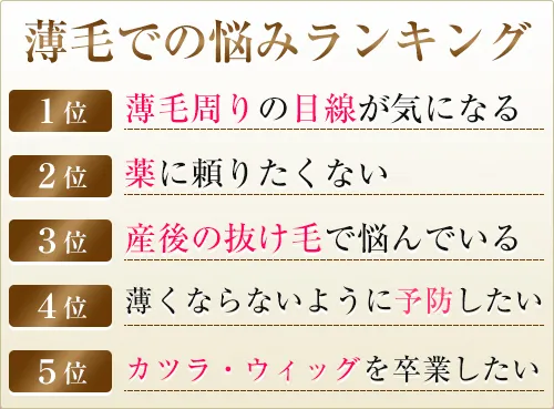 薄毛での悩みランキング