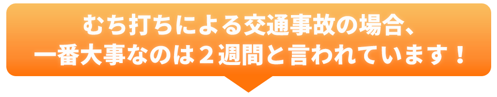 大事なのは2週間