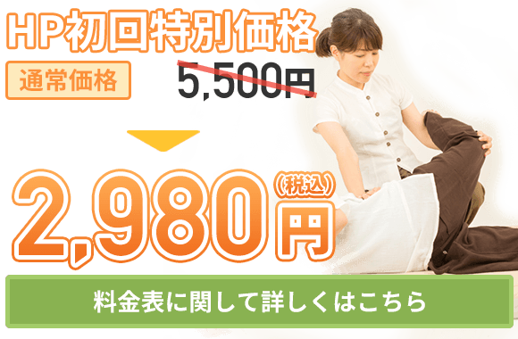 HP初回特別料金2980円（税込）
