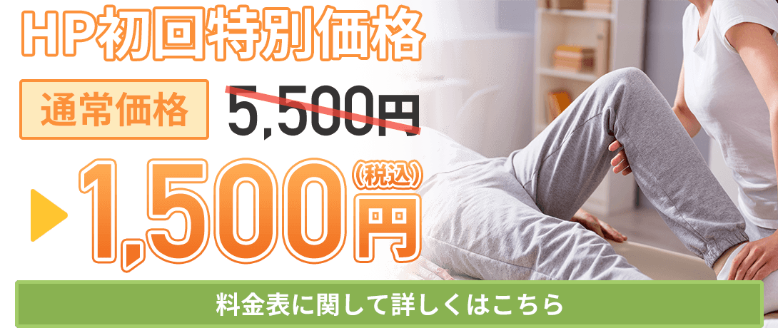 HP初回特別料金2980円（税込）