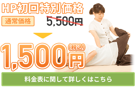 HP初回特別料金1980円（税込）