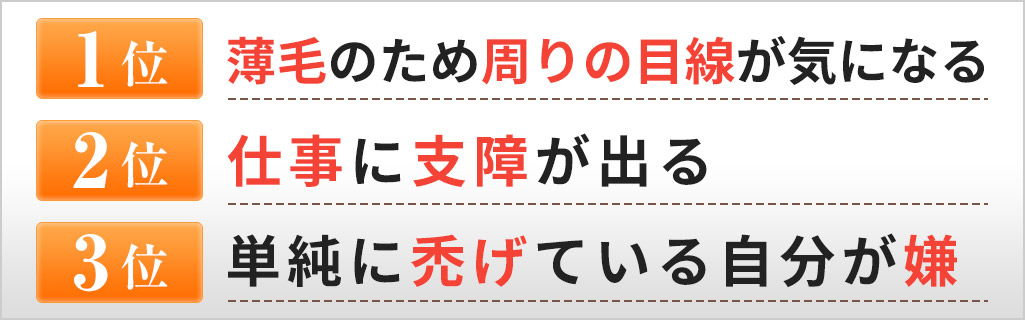 薄毛での悩みランキング