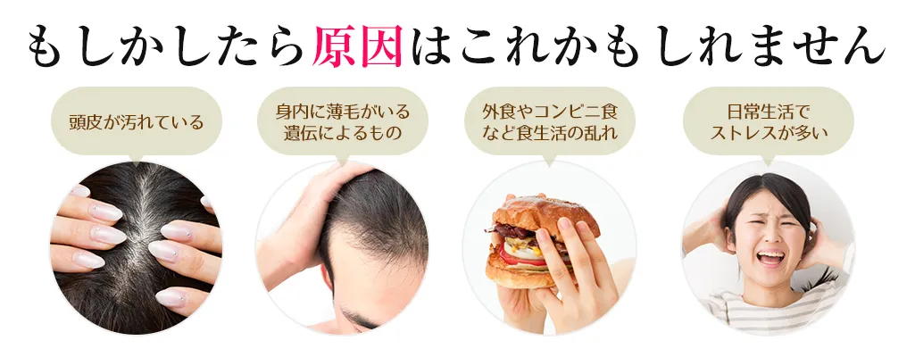 薄毛原因