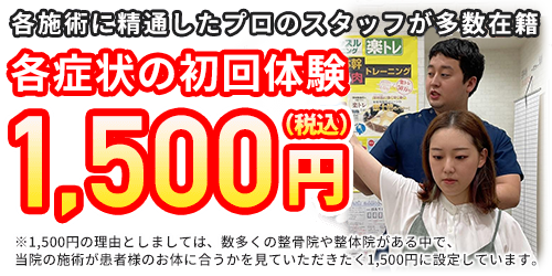 各症状の初回体験：2,000円(税抜)